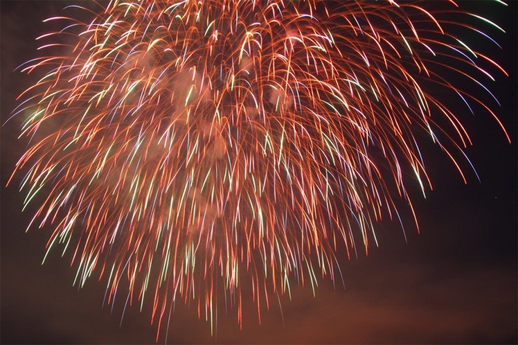 Algonac Pickerel Fireworks