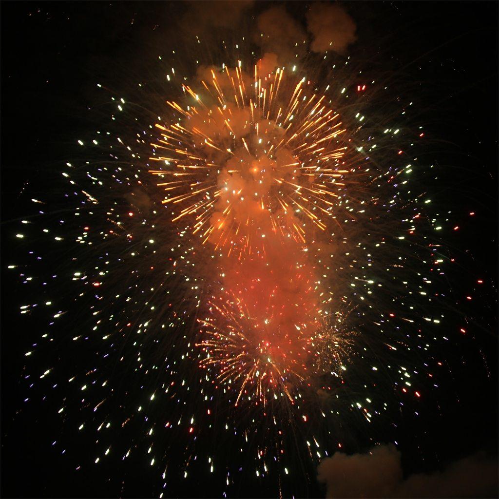 Algonac Pickerel Fireworks