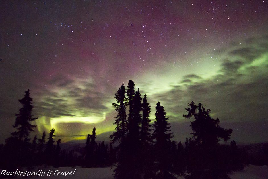 Trees standing against a yellow, green, and purple Northern Lights sky with stars and clouds