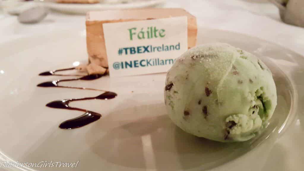 Chocolate and Mint Slice accompanied with vanilla mint ice cream