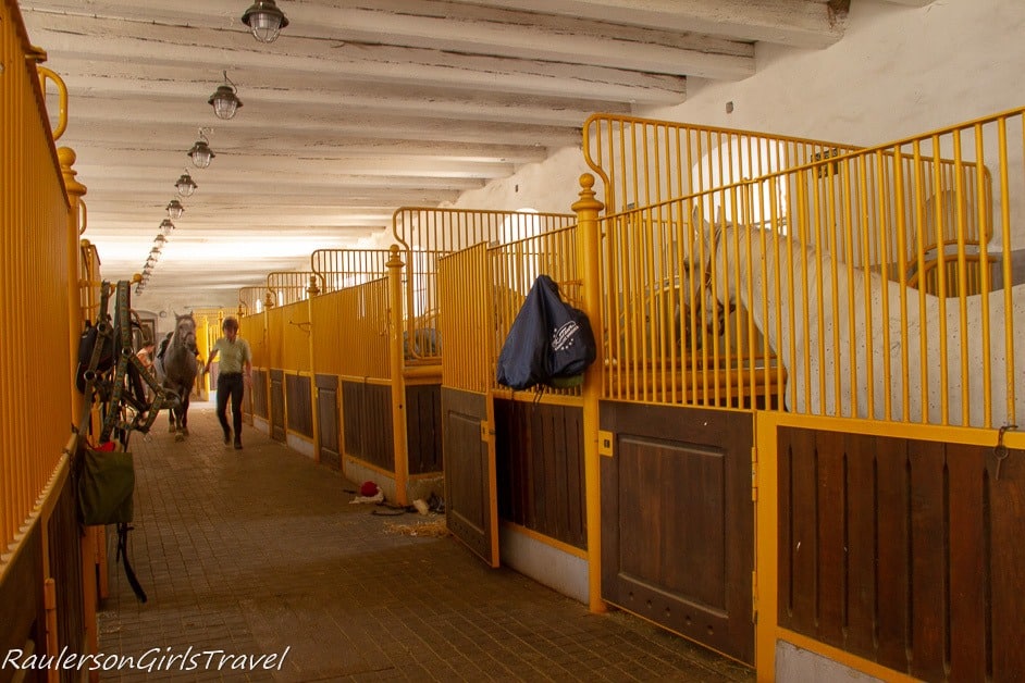 National Stud Farm at Kladruby nab Labem stables - Day trip from Prague