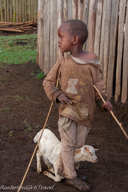 Little boy with goat