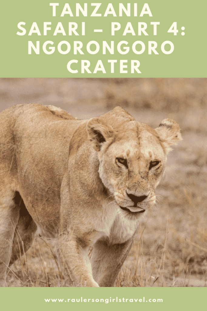 Ngorongoro Crater Pinterest Pin