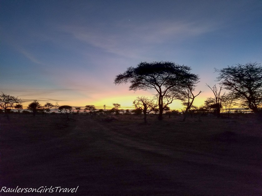 Serengeti Sunrise 15