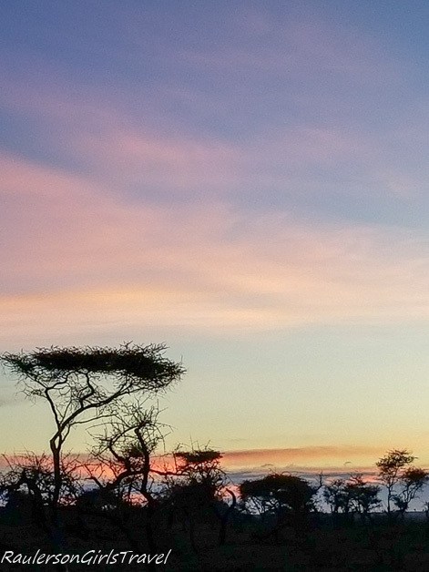 Serengeti Sunrise 13