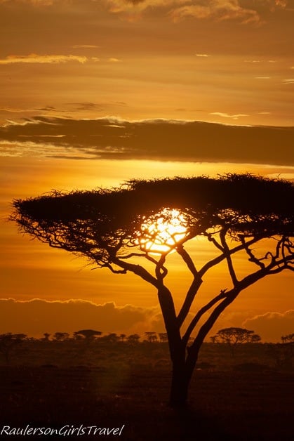 Serengeti Sunrise 7