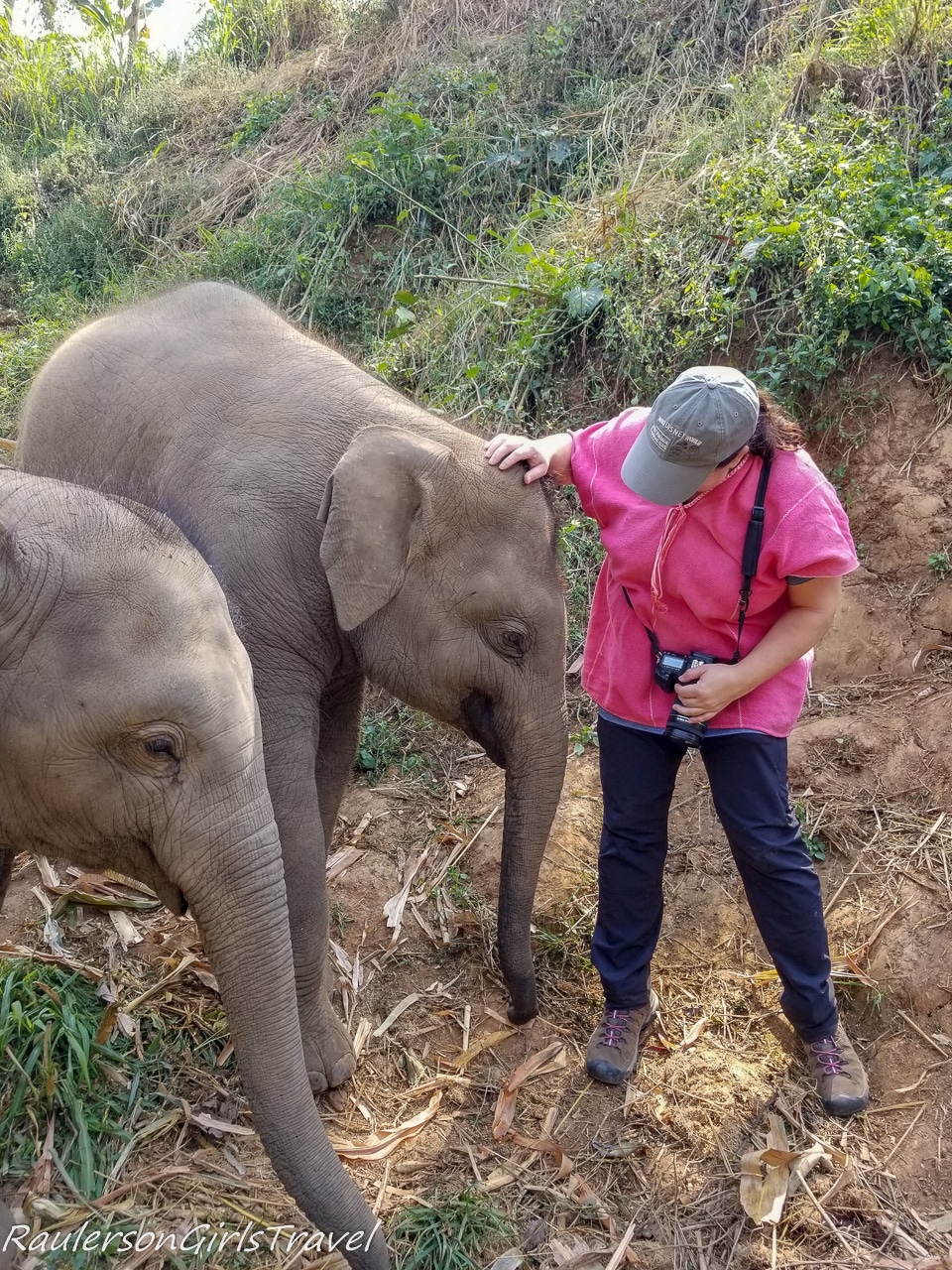Heather petting baby elephant