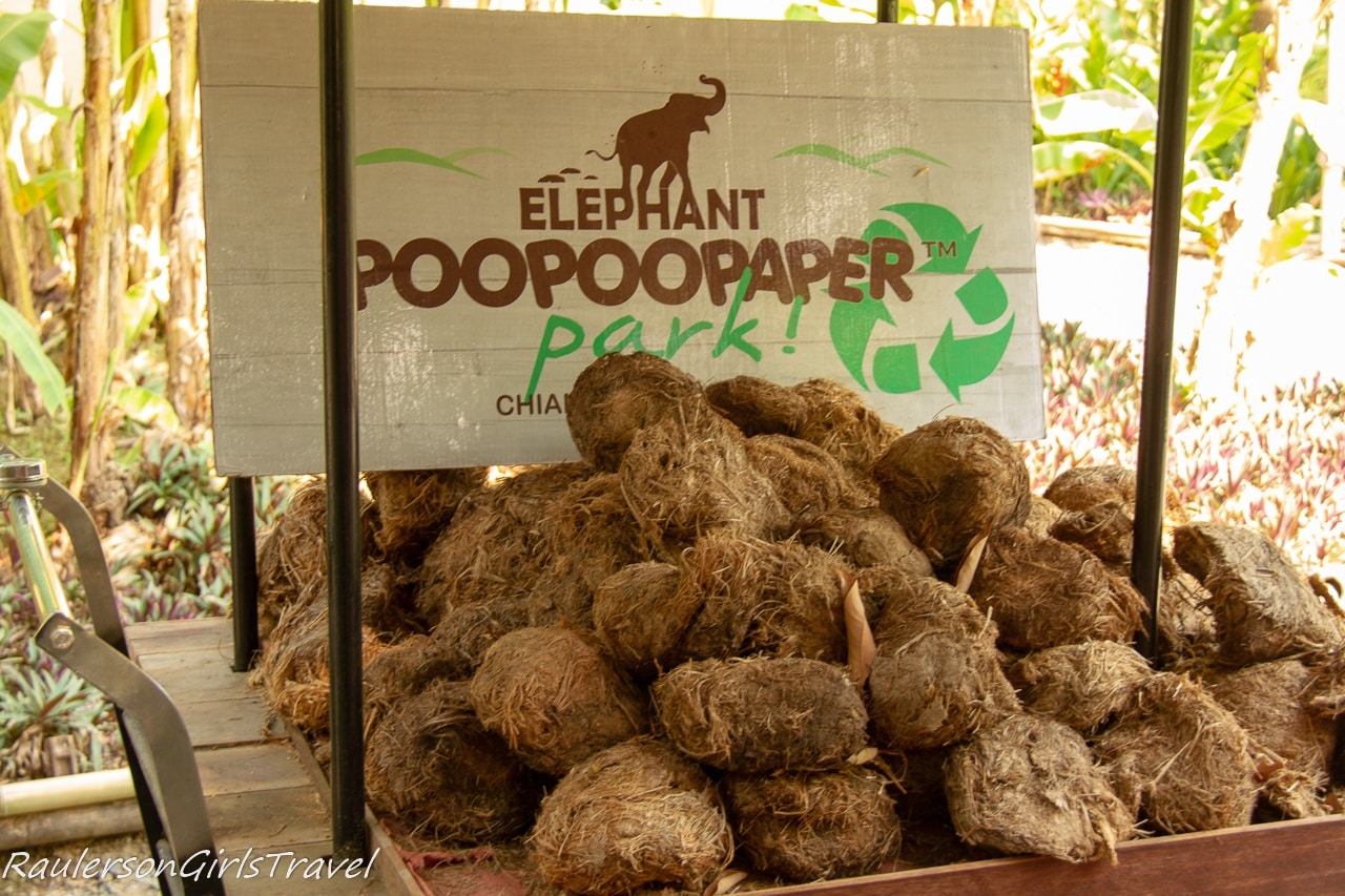 Elephant Poop