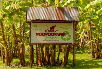 Elephant PooPoo Paper Park