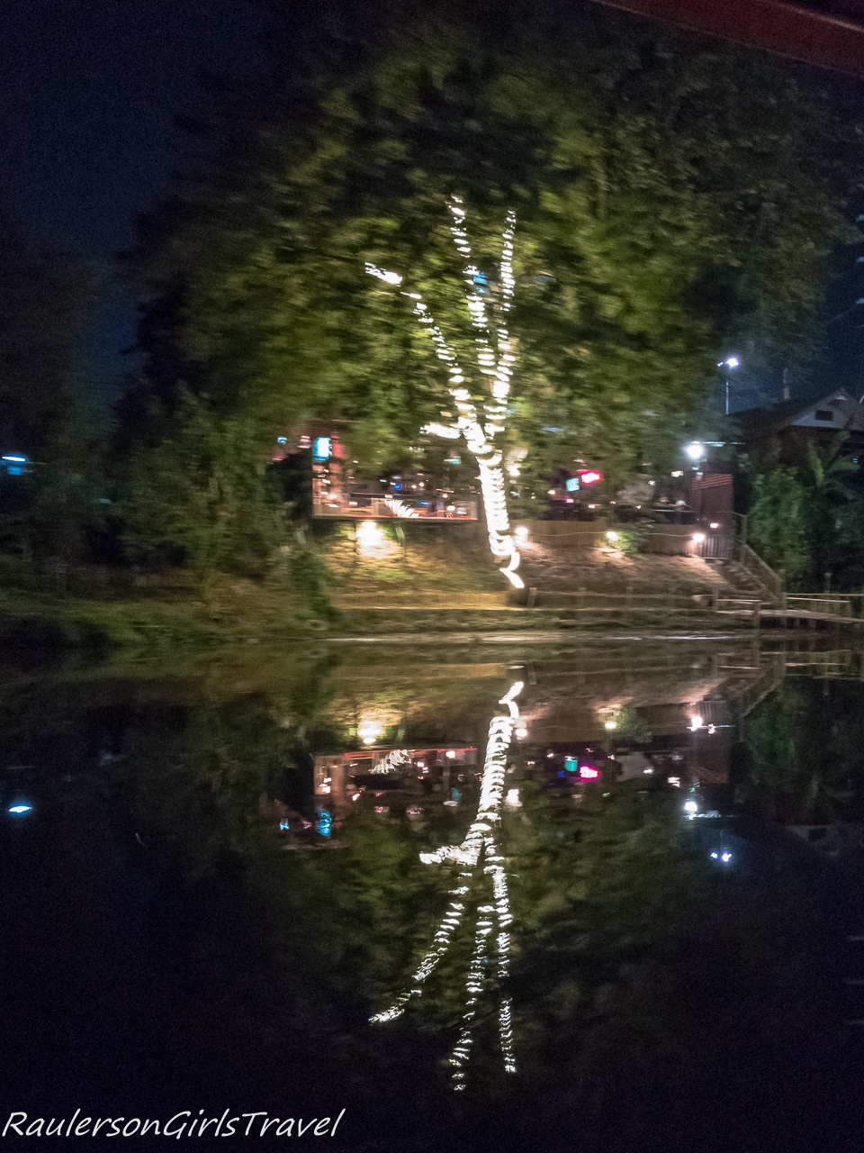 Tree illuminated on the Mae Ping River