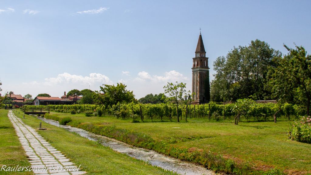 Vineyard at Mazzorbo