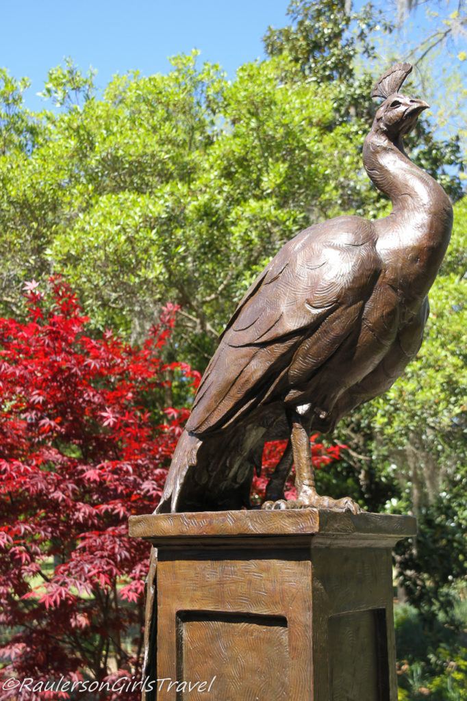 Peacock statue at BrookGreen Gardens