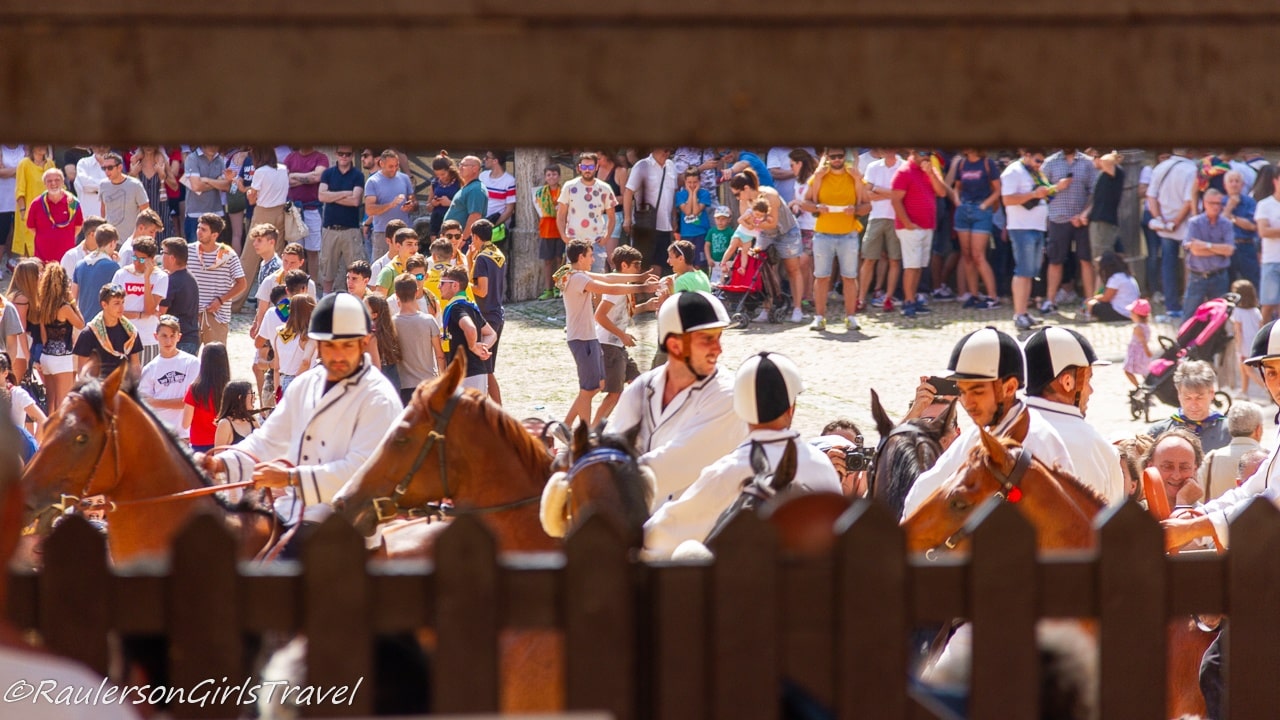 Jockeys and Horses in the Palio