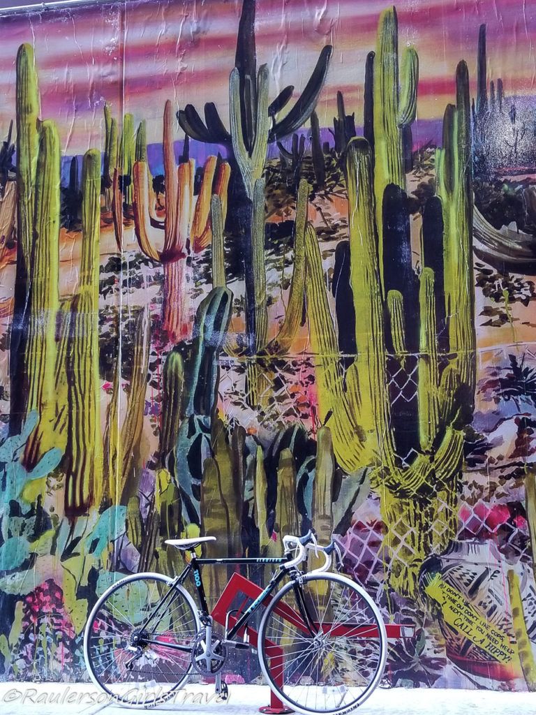 Detroit Street Art in the Belt - Cactus