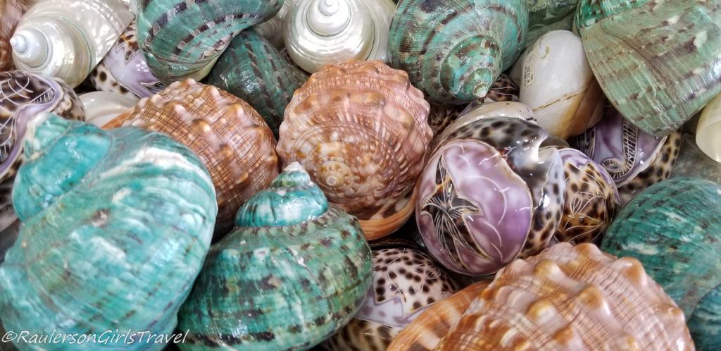Colorful Shells in Cameo/Coral Factory in Naples, Italy