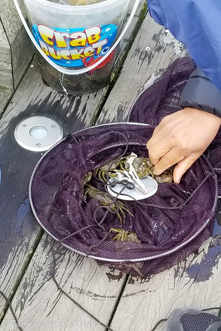Picking Crabs out of the net