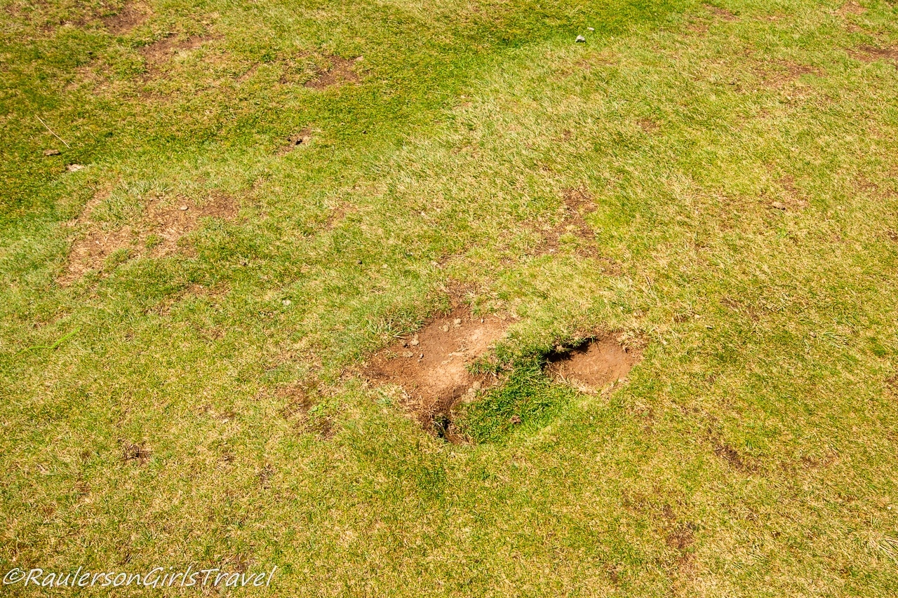 Footprint in the heath-grass