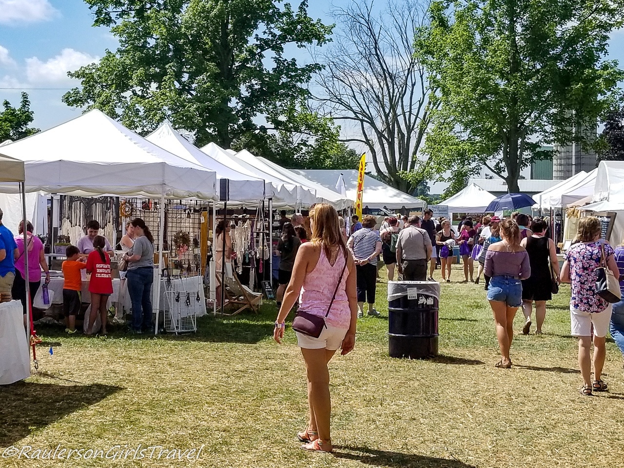 People shopping and browsing the stalls at the Michigan Lavender Festival