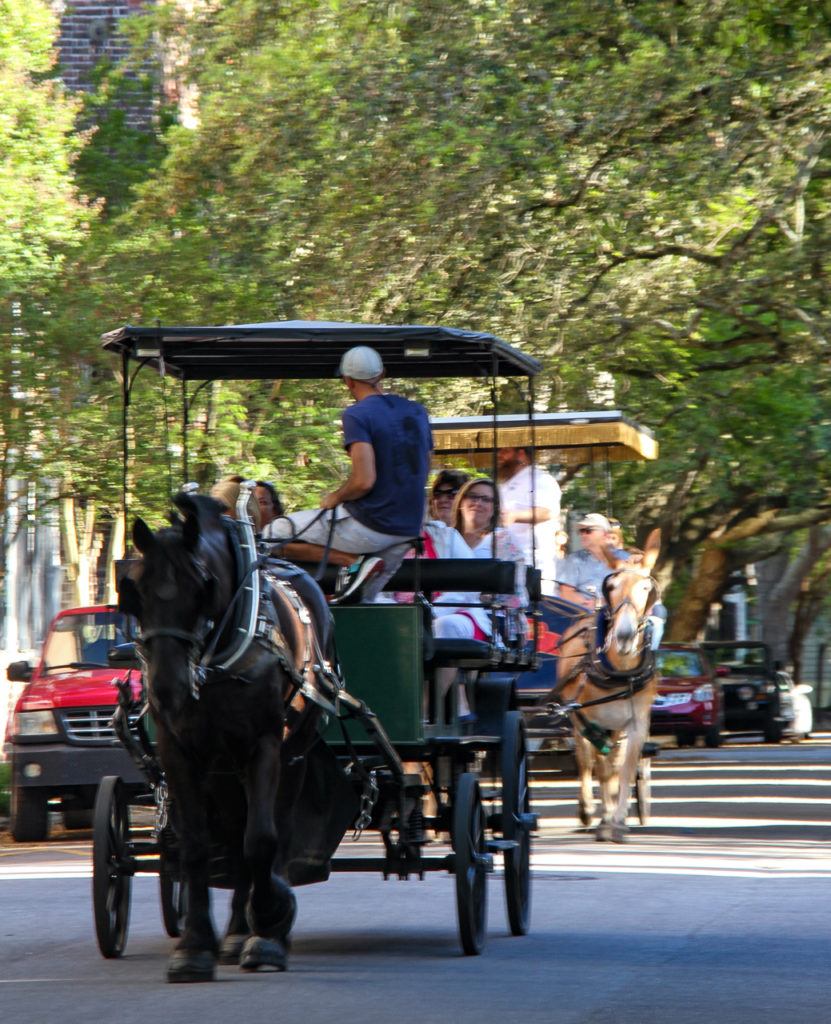 Horse-drawn Carriage in Charleston