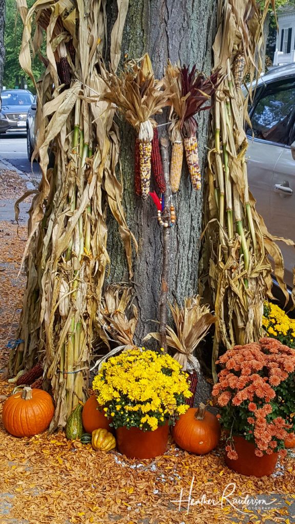 Pumpkin and corn in a fall display in Woodstock, Vermont