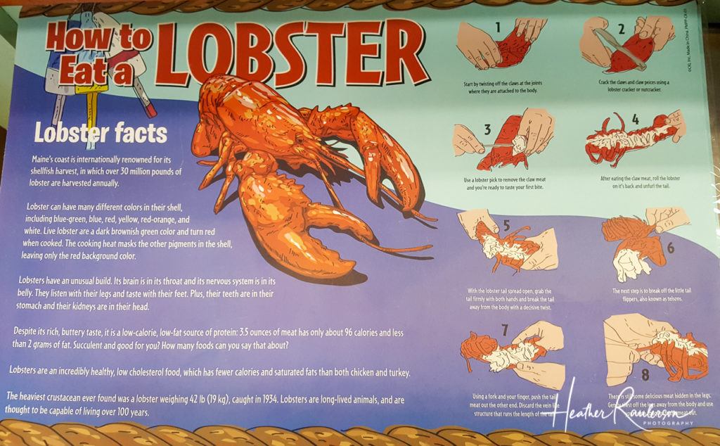How to eat a Lobster