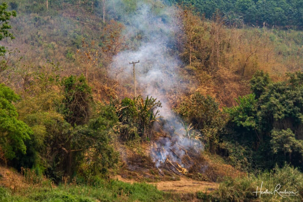 Burning of Brush along the Mekong River