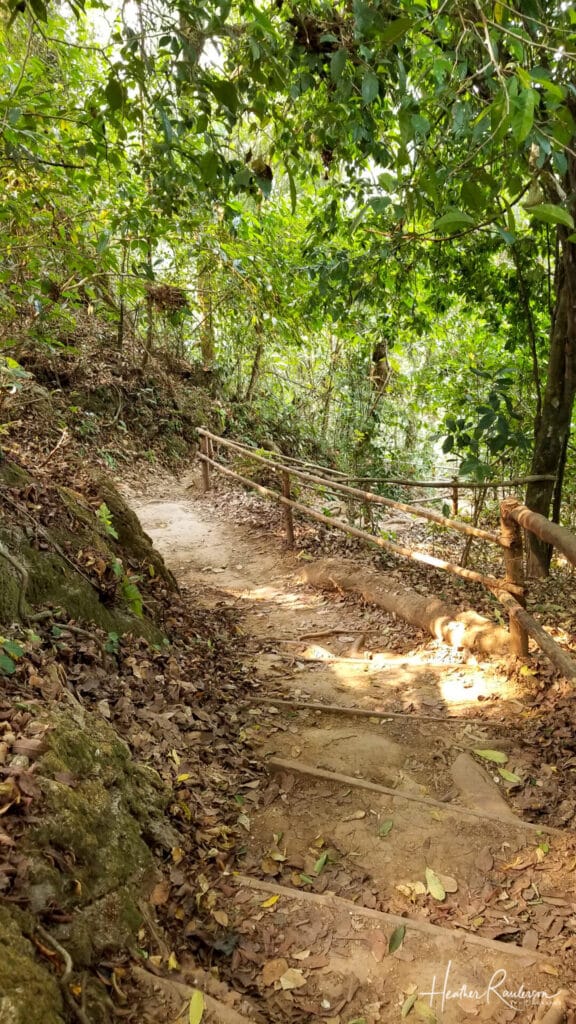 Wooded path heading down to the bottom of Kuang Si Falls