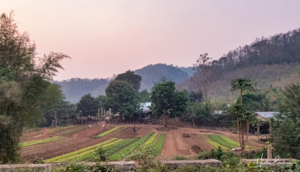 Farming in Laos