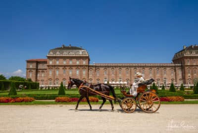 Horse and Carriage Ride on La Venaria Reale grounds