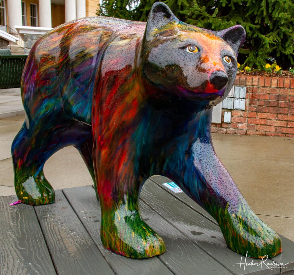 Watercolor Bear in Hendersonville