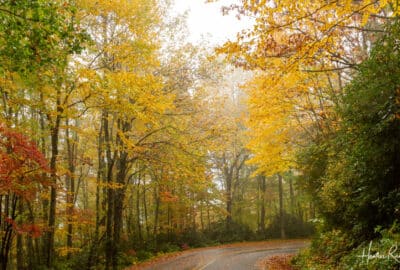 Road through Caesars Head State Park in the Fall