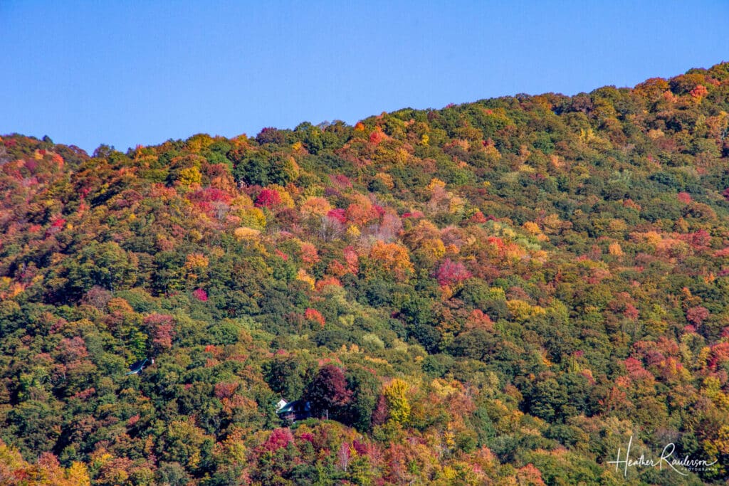 The fall colors in Maggie Valley