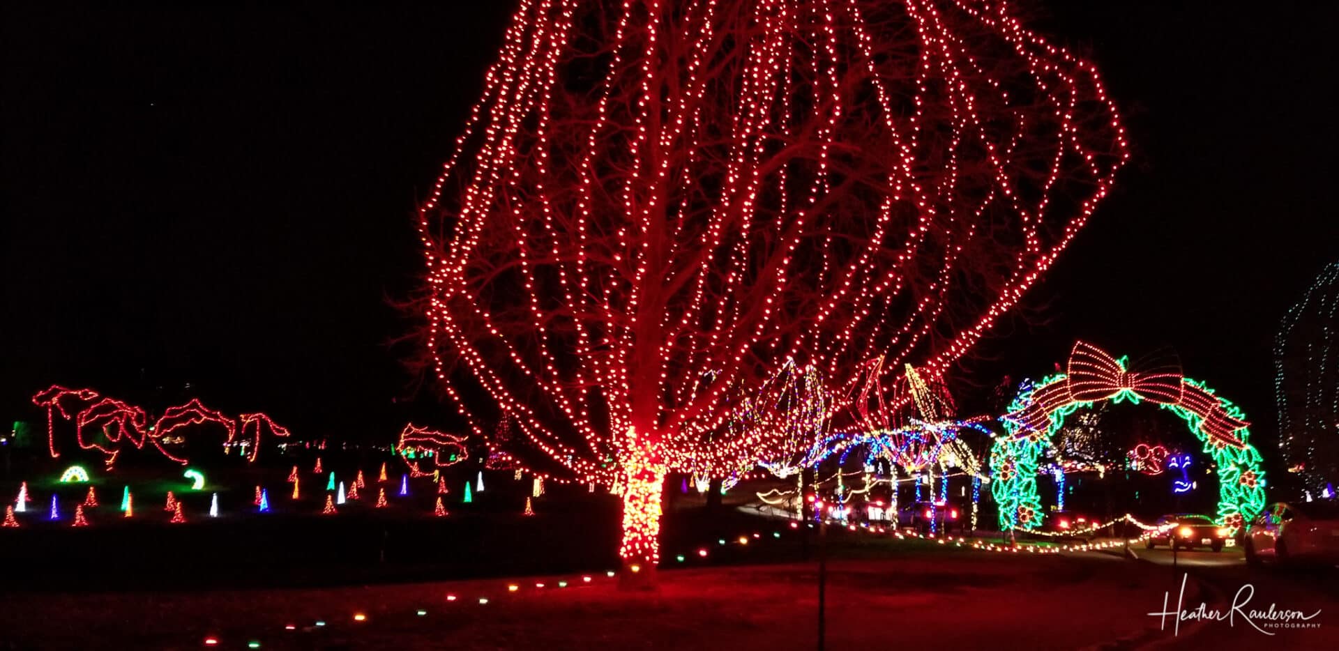 The 6 Best Christmas Lights St. Louis, Missouri RaulersonGirlsTravel