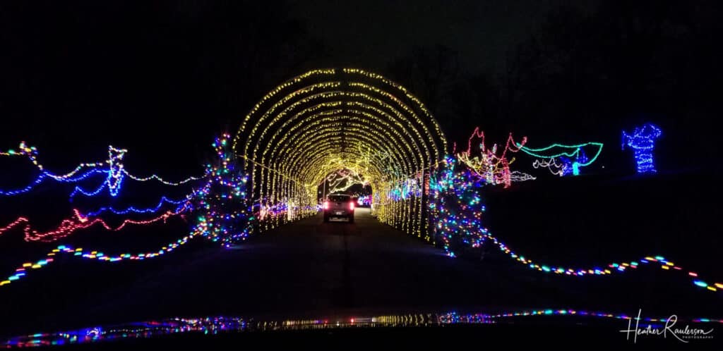 Tunnel of Lights at Christmas Wonderland
