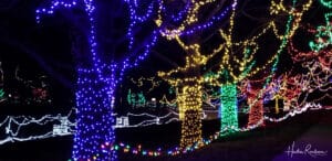 The 6 Best Christmas Lights: St. Louis, Missouri - RaulersonGirlsTravel