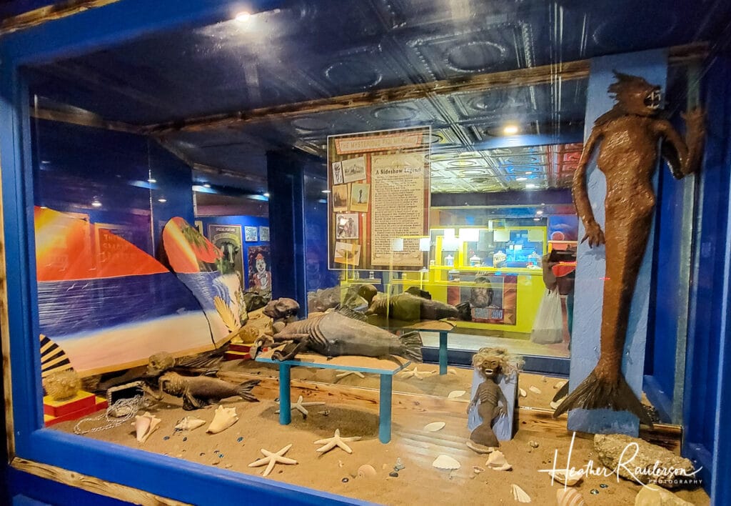 The mysterious Fiji Mermaid in the Circus Side Show Museum at Uranus