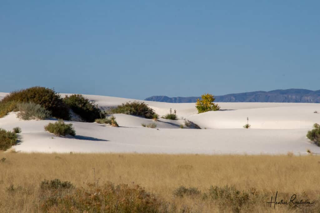 The sand dunes at White Sands National Park