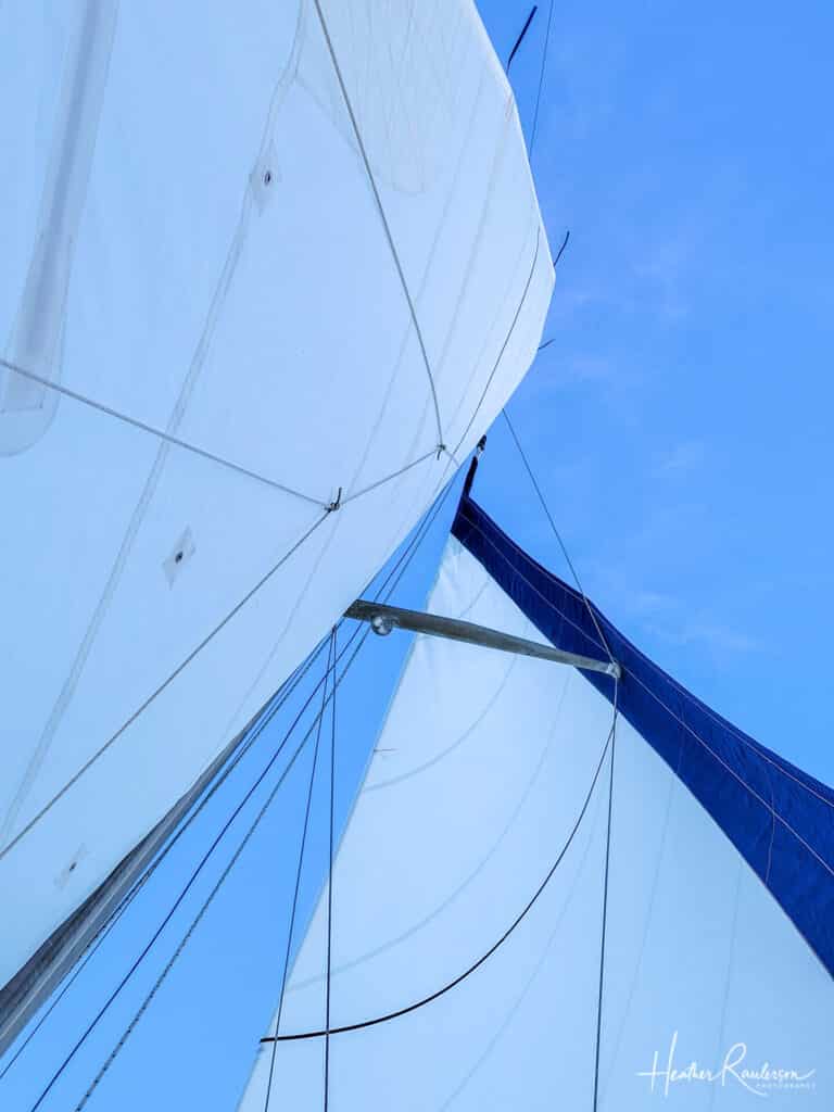 Looking up at the sails on the Sea'scape
